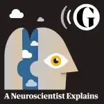 A Neurscientist Explains